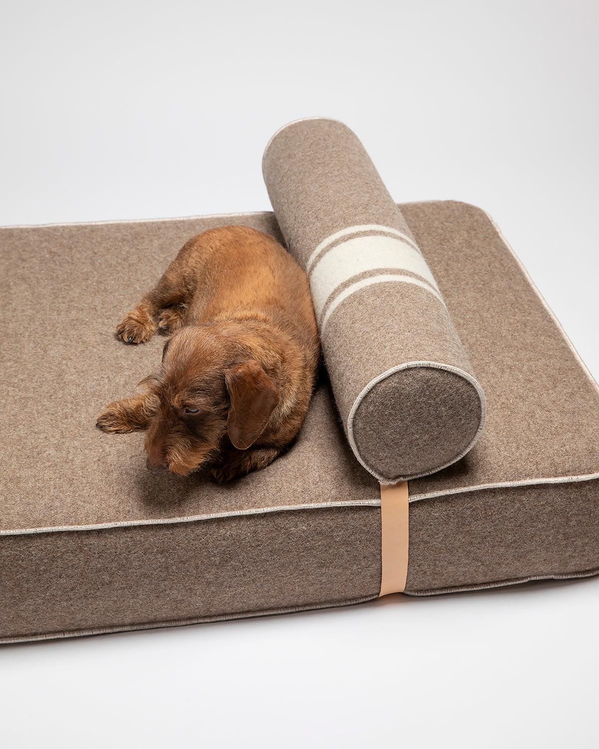 GIAMPAOLO DOG LOUNGE BED | מיטת לאונג׳ לכלב