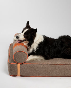 GIAMPAOLO DOG LOUNGE BED | מיטת לאונג׳ לכלב