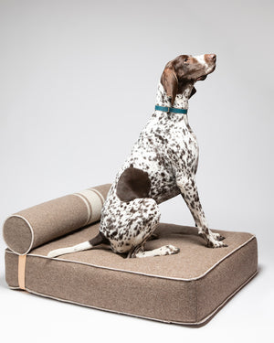 GIAMPAOLO DOG LOUNGE BED | מיטת לאונג׳ לכלב