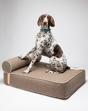 GIAMPAOLO DOG LOUNGE BED | מיטת לאונג׳ לכלב