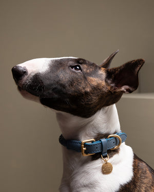 קולר קלוע לכלב מעור נאפה איטלקי | FERDINANDO NAPPA LEATHER COLLAR