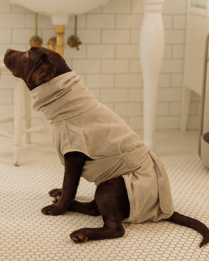 BAGNO DOG BATHROBE | חלוק רחצה לכלב