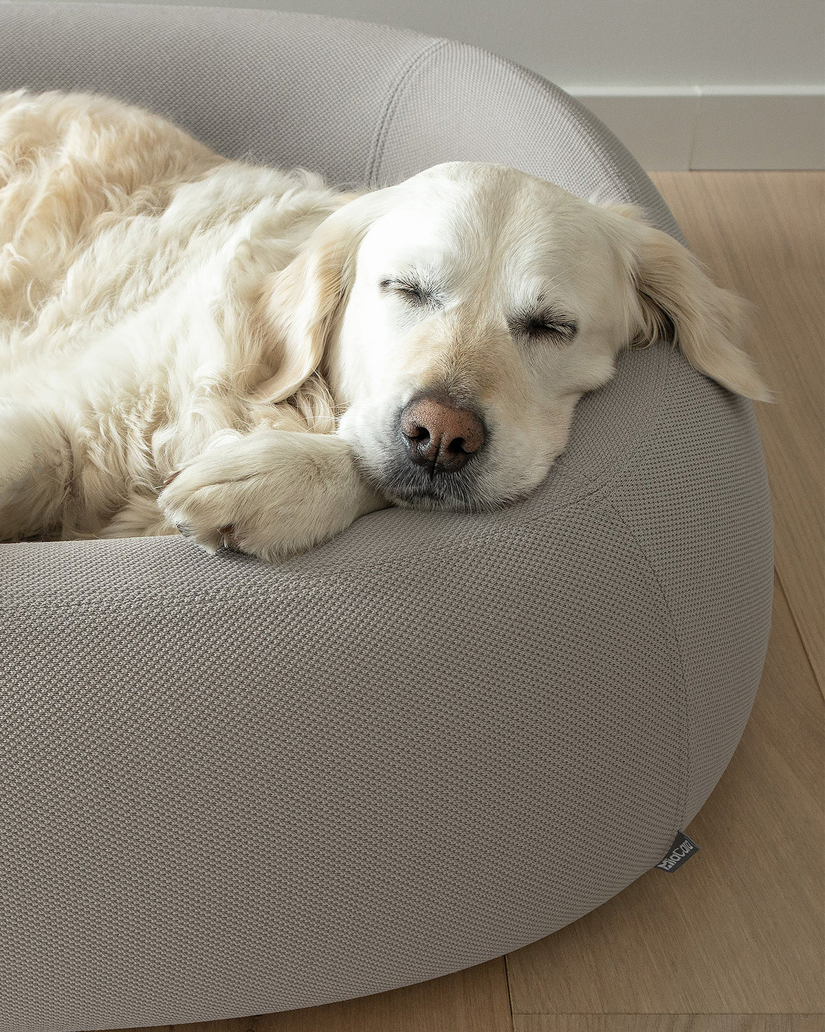 מיטה  אורתופדית לכלב | BARCA ORTHOPEDIC DOG BED