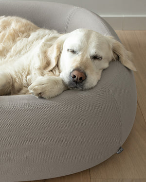 מיטה  אורתופדית לכלב | BARCA ORTHOPEDIC DOG BED
