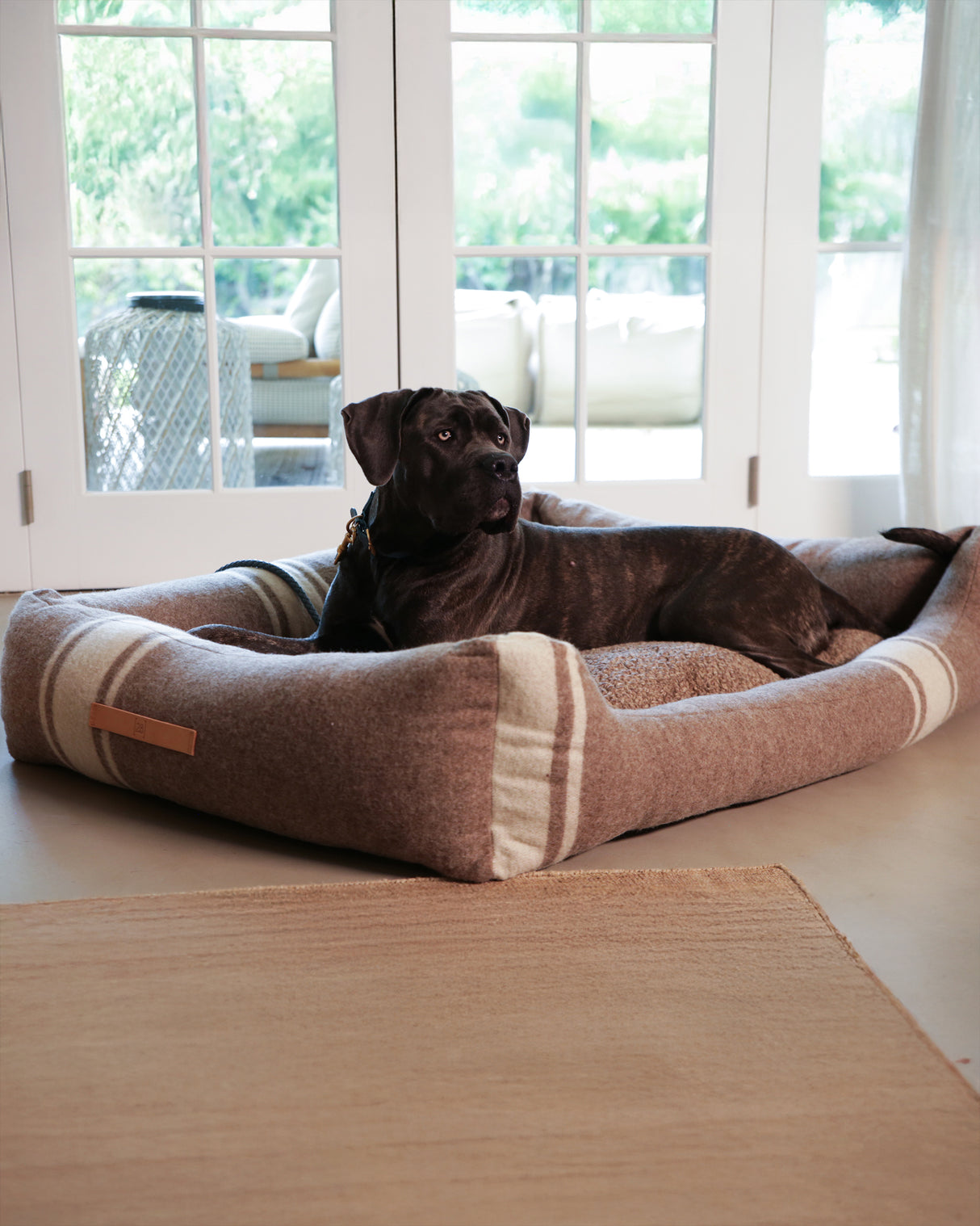 HENRI RECYCLED WOOL BED | מיטה לכלב