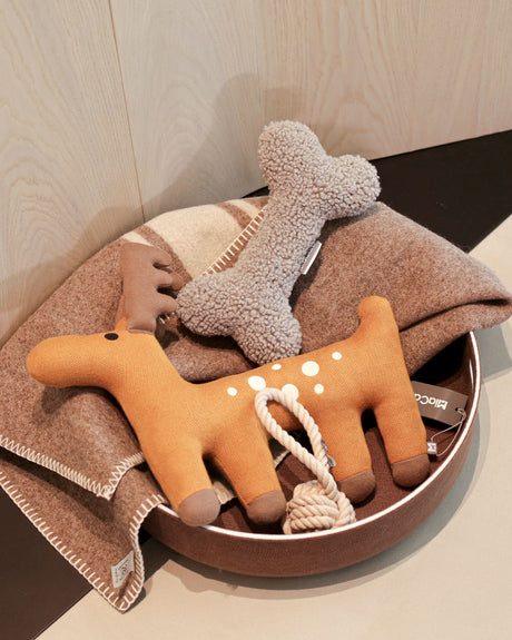 CESTO DOG BASKET | סל צעצועים / מיטה לכלב