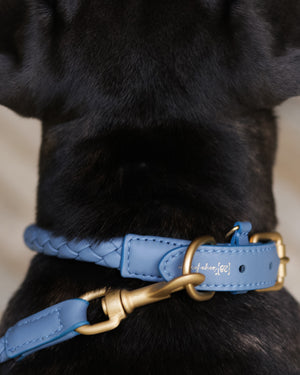 קולר קלוע לכלב מעור נאפה איטלקי | FERDINANDO NAPPA LEATHER COLLAR