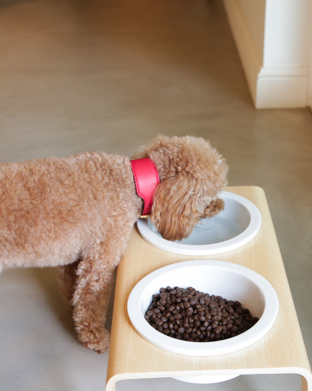 MARIO WIDE LEATHER COLLAR | קולר עור נאפה רחב לכלב