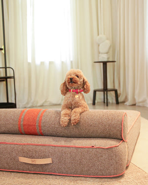 MARIO WIDE LEATHER COLLAR | קולר עור נאפה רחב לכלב