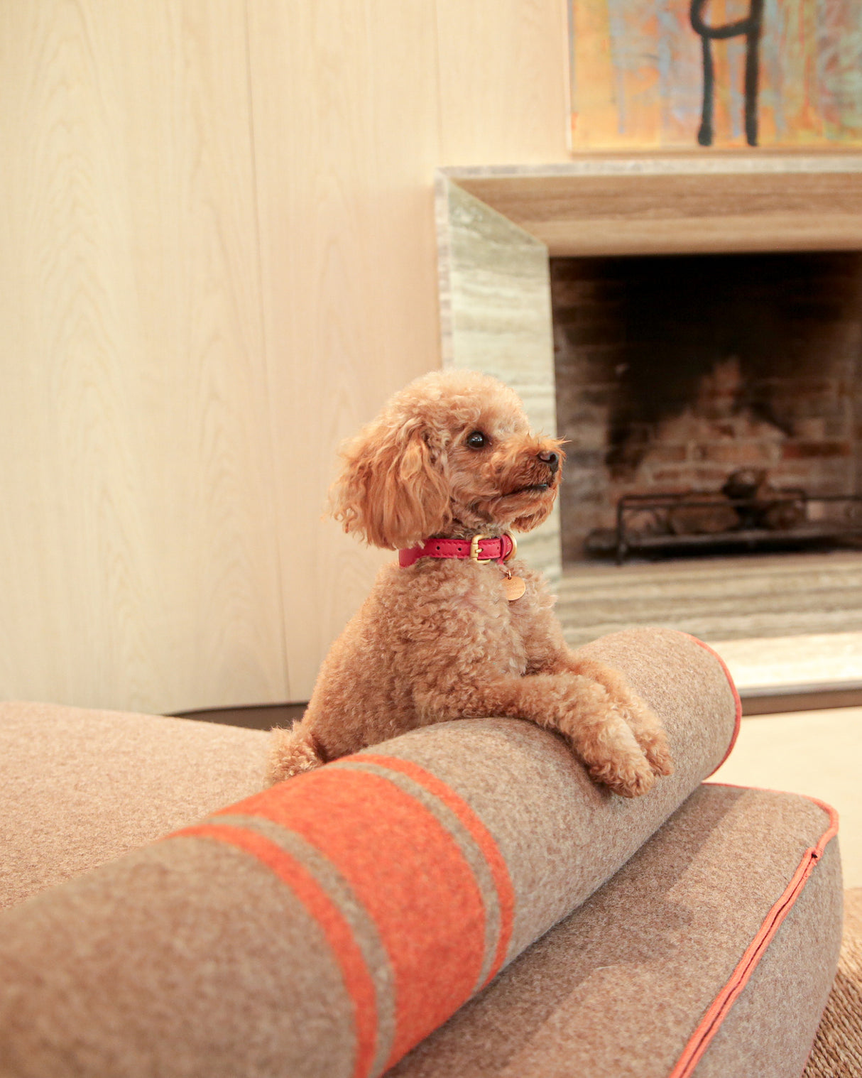 MARIO WIDE LEATHER COLLAR | קולר עור נאפה רחב לכלב