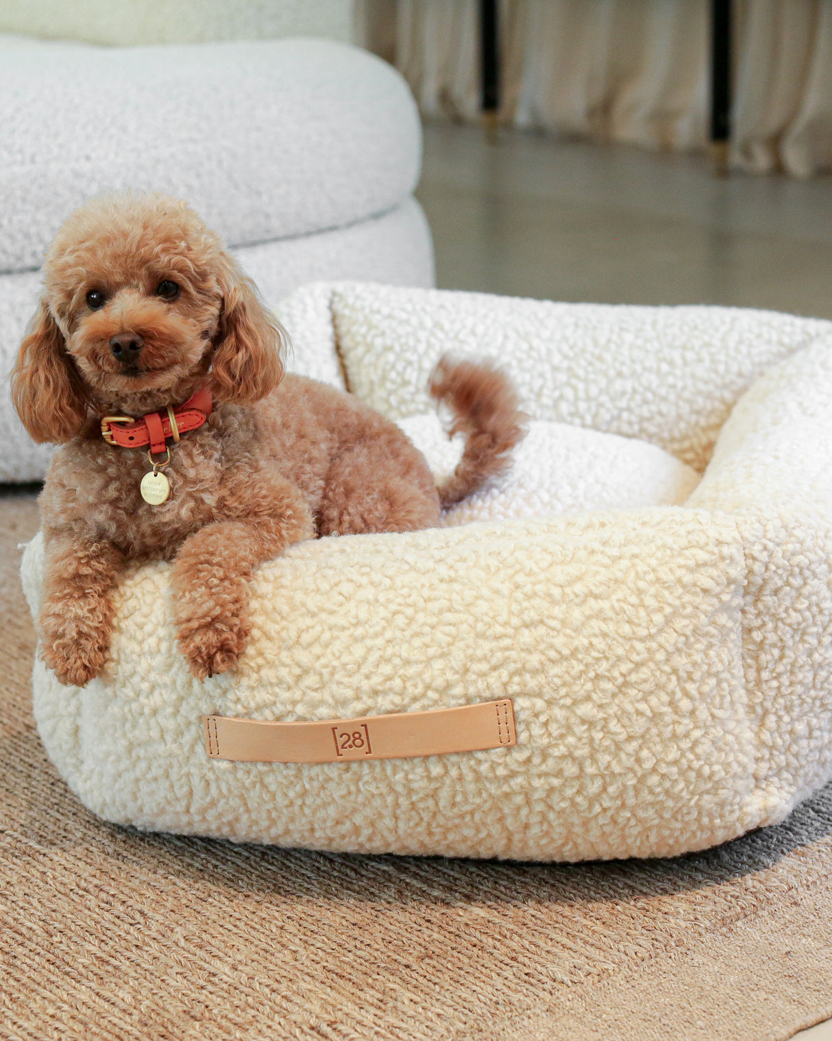 HENRI BOUCLÉ WOOL DOG BED | מיטה לכלב