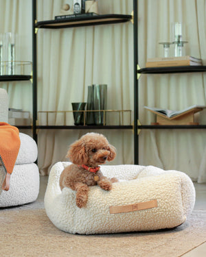 HENRI BOUCLÉ WOOL DOG BED | מיטה לכלב