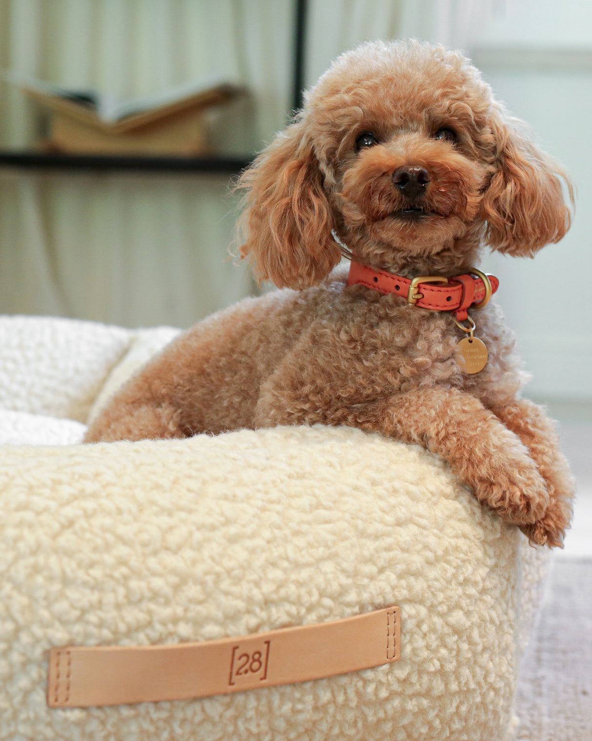 MARIO WIDE LEATHER COLLAR | קולר עור נאפה רחב לכלב