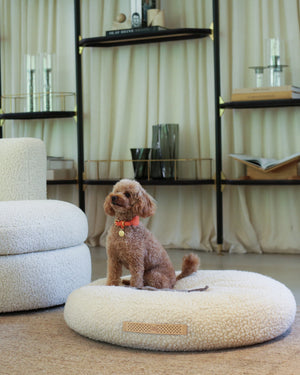 FULVIO BOUCLÉ WOOL BED | מיטת פוף לכלב