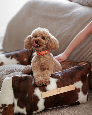 MARIO WIDE LEATHER COLLAR | קולר עור נאפה רחב לכלב