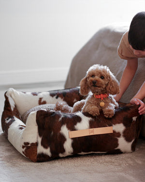 HENRI COWHIDE BED | מיטה לכלב