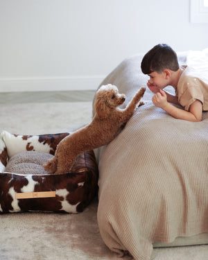 HENRI COWHIDE BED | מיטה לכלב