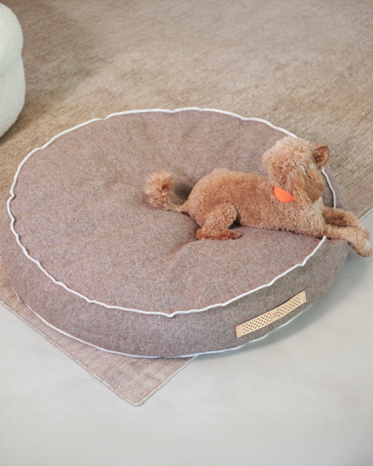 FULVIO RECYCLED WOOL  | מיטת פוף לכלב