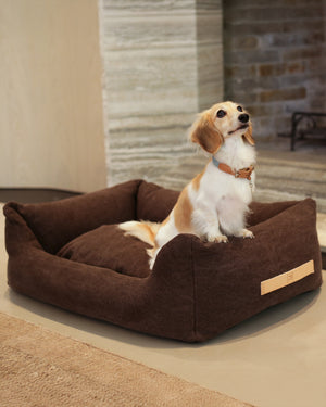 HENRI ORGANIC COTTON DOG BED | מיטה לכלב