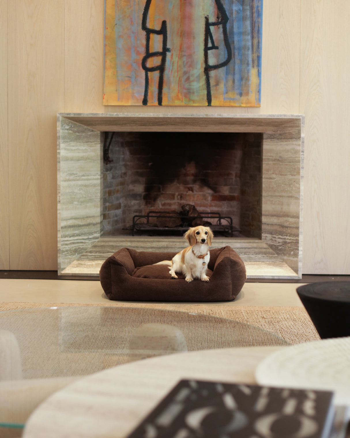 HENRI ORGANIC COTTON DOG BED | מיטה לכלב