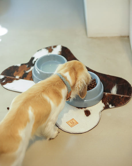 SEBASTIÃO DOG & CAT CERAMIC BOWLS |  קערות קרמיקה לכלבים ולחתולים