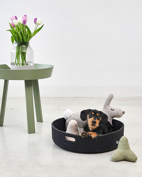 סלסלת צעצועים לכלבים