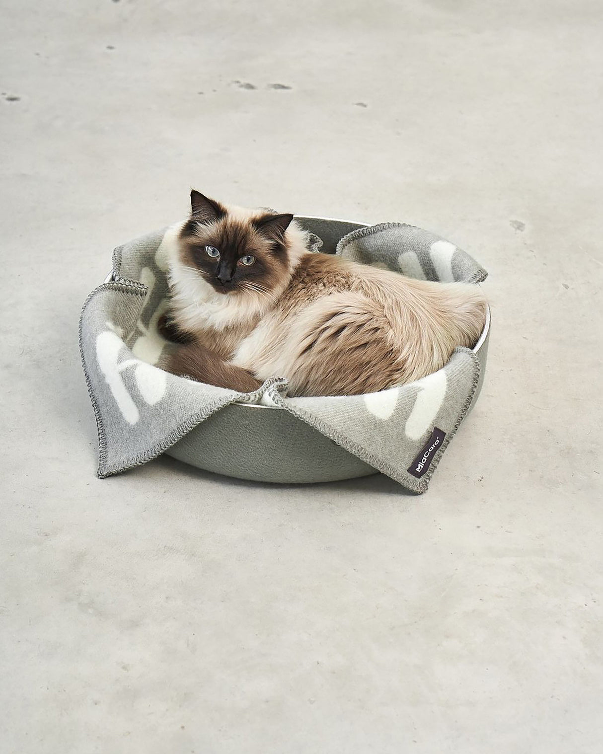 CESTO CAT BASKET | מיטה לחתול או סל צעצועים