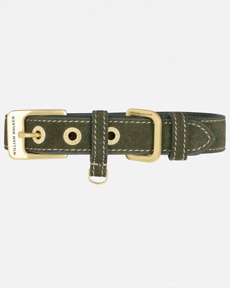 Luxe Suede Leather Dog Collar | קולר עור זמש לכלב