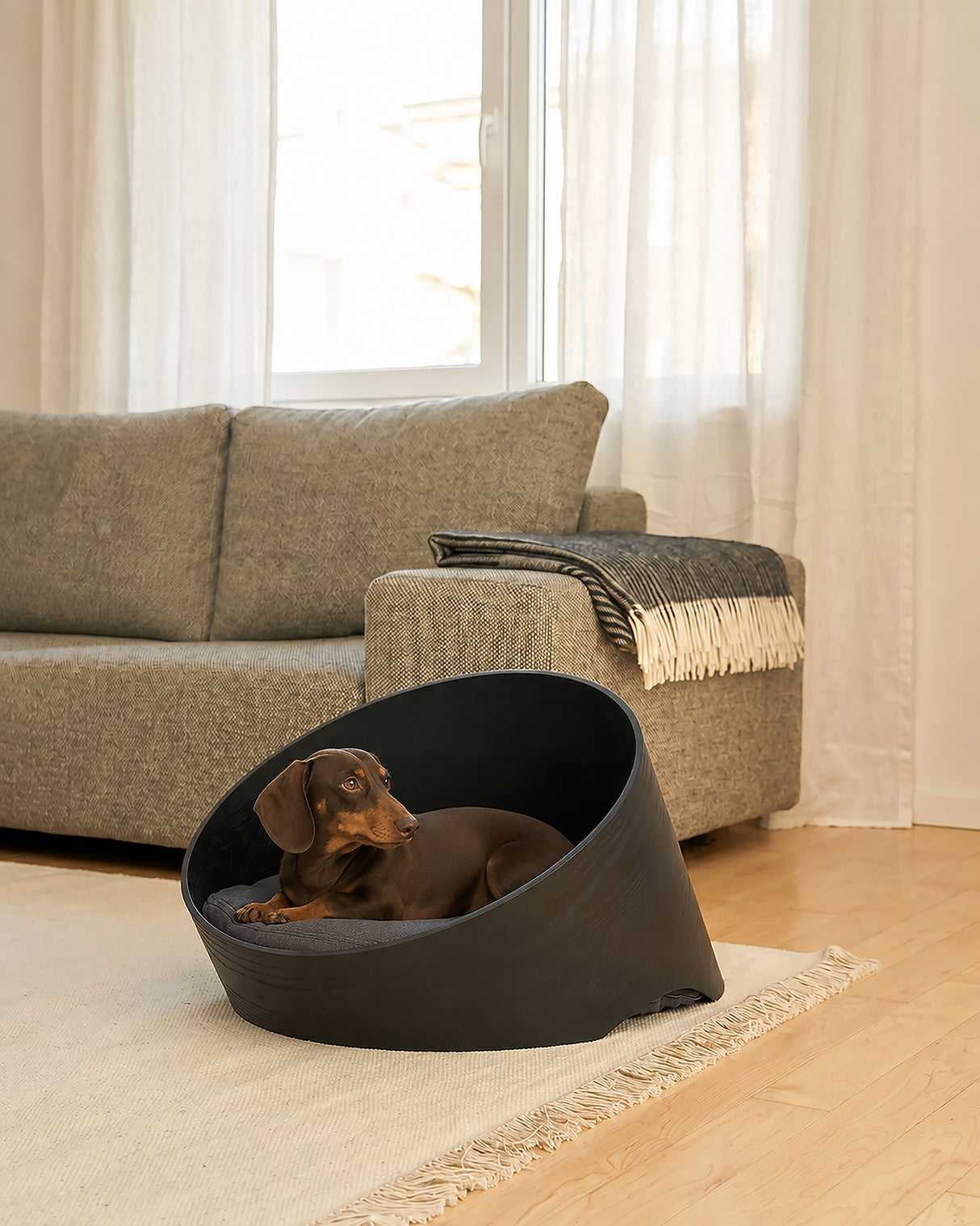 מיטת עץ אורתופדית לכלבים ולחתולים | COVO DOG & CAT CAVE BED