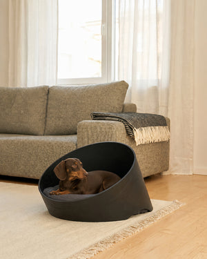מיטת עץ אורתופדית לכלבים ולחתולים | COVO DOG & CAT CAVE BED