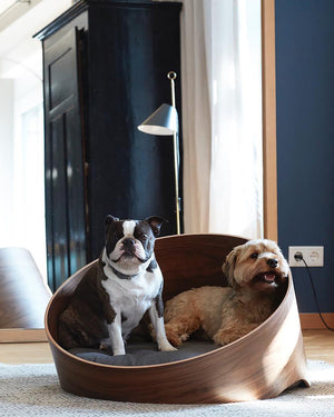 מיטת עץ אורתופדית לכלבים ולחתולים | COVO DOG & CAT CAVE BED