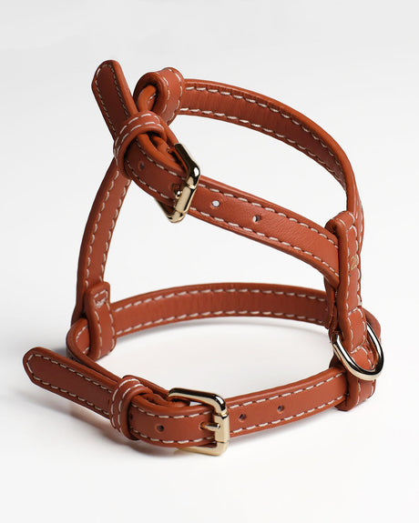 GABRIELE NAPPA LEATHER DOG HARNESS | רתמת עור נאפה לכלב