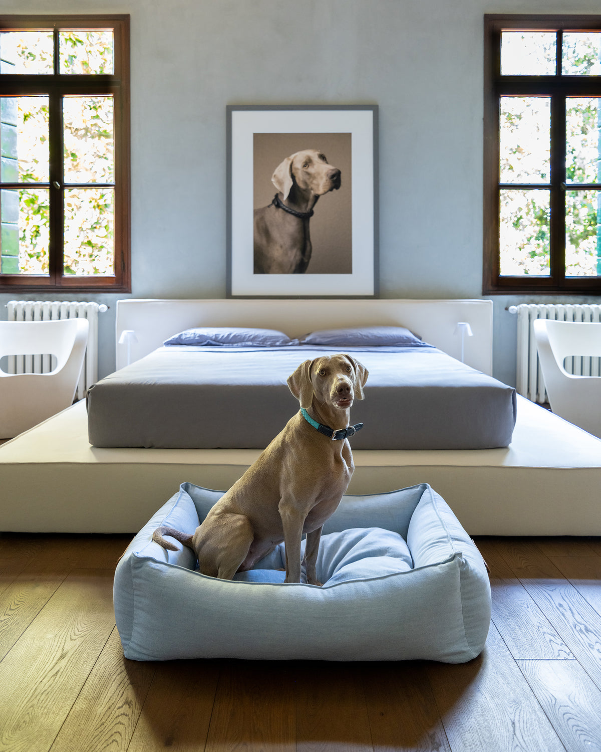 מיטה לכלב מפשתן טהור | EDWARD PURE LINEN DOG BED