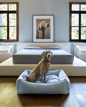 מיטה לכלב מפשתן טהור | EDWARD PURE LINEN DOG BED