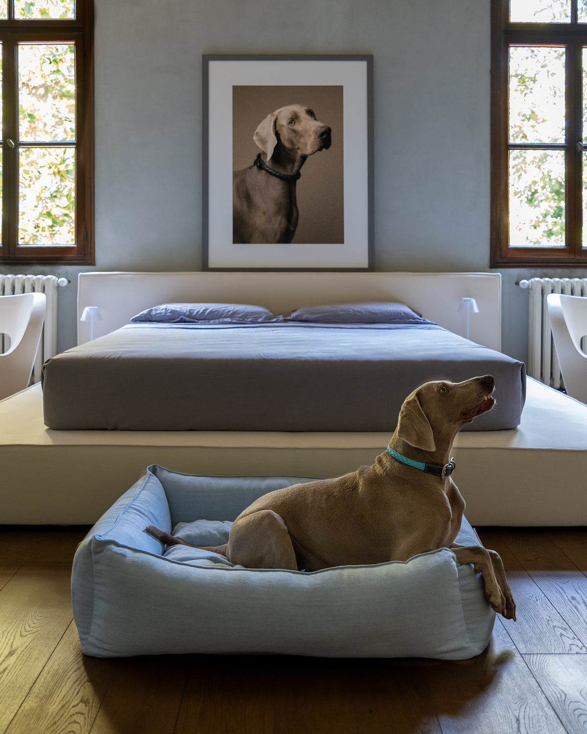 מיטה לכלב מפשתן טהור | EDWARD PURE LINEN DOG BED