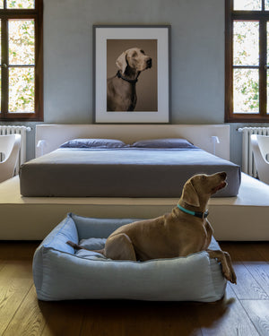 מיטה לכלב מפשתן טהור | EDWARD PURE LINEN DOG BED