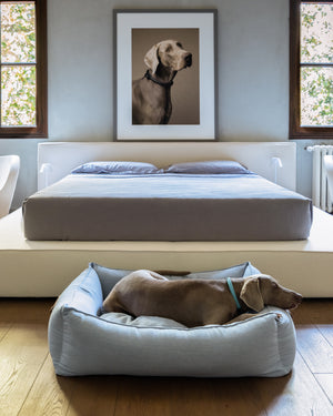 מיטה לכלב מפשתן טהור | EDWARD PURE LINEN DOG BED