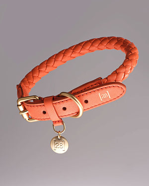 FERDINANDO NAPPA LEATHER COLLAR | קולר עור נאפה לכלב