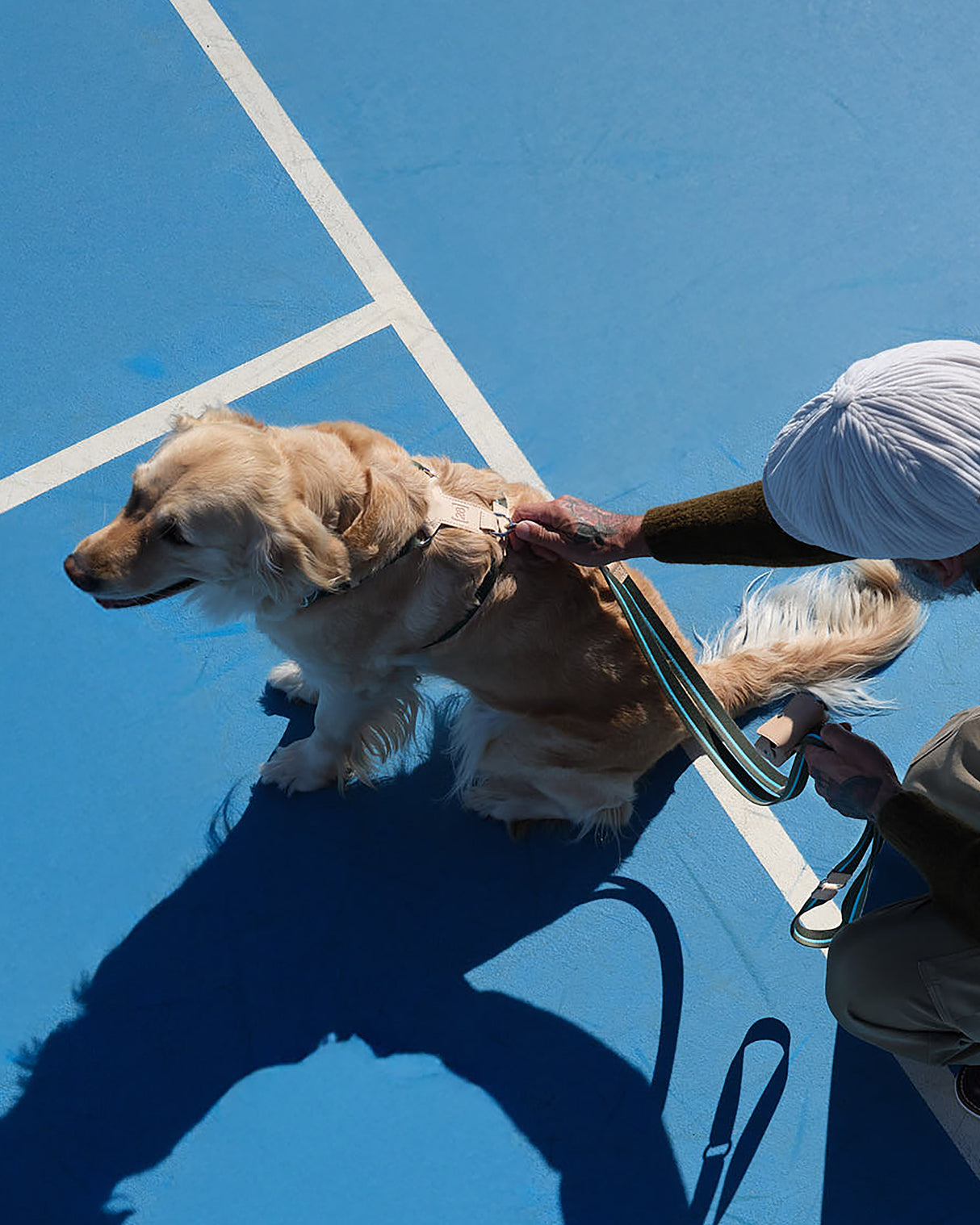 FREE-HANDS FRANCO RIBBON LEASH | רצועה ארוכה ומתכוונת לכלב