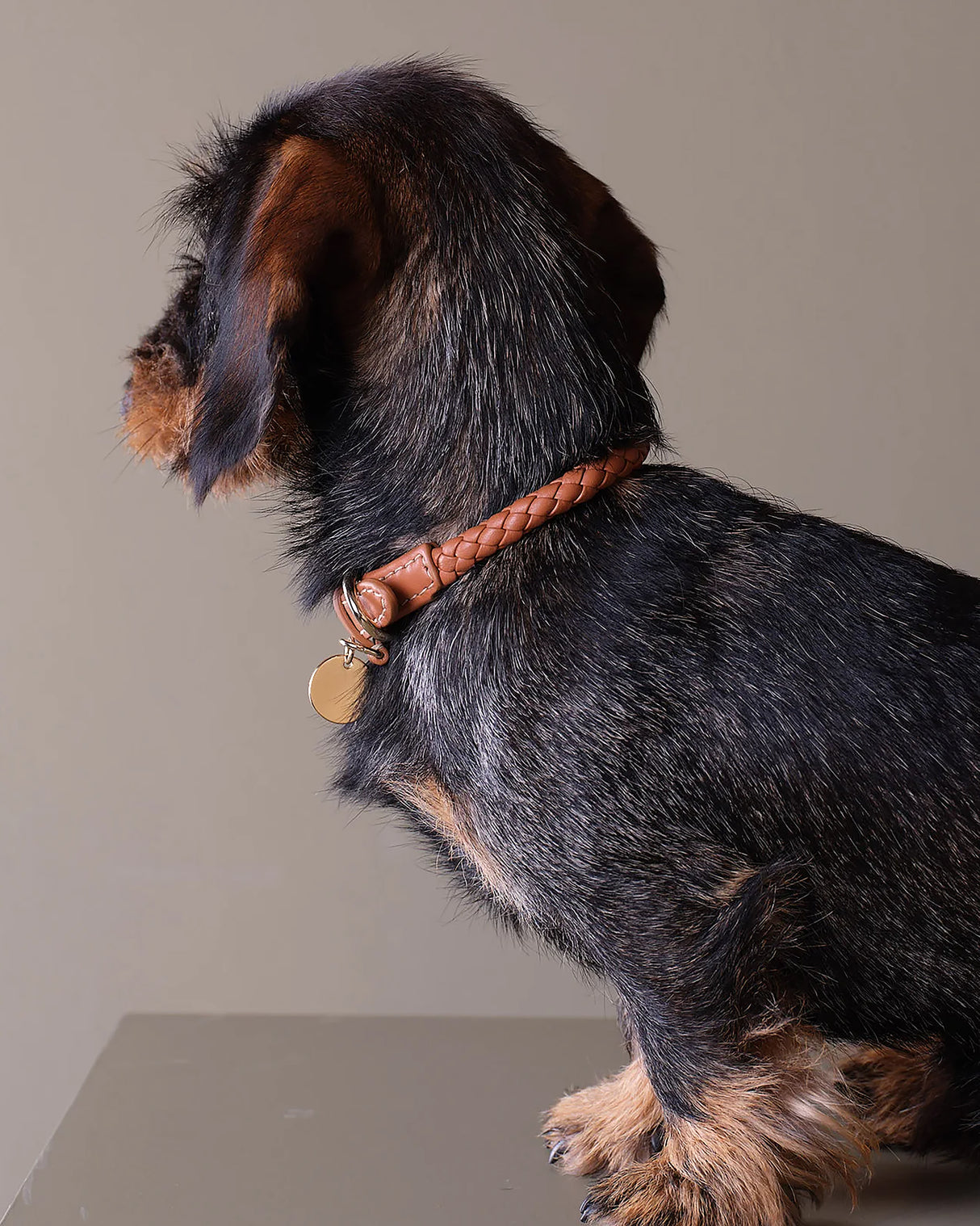 FERDINANDO NAPPA LEATHER COLLAR | קולר עור נאפה לכלב