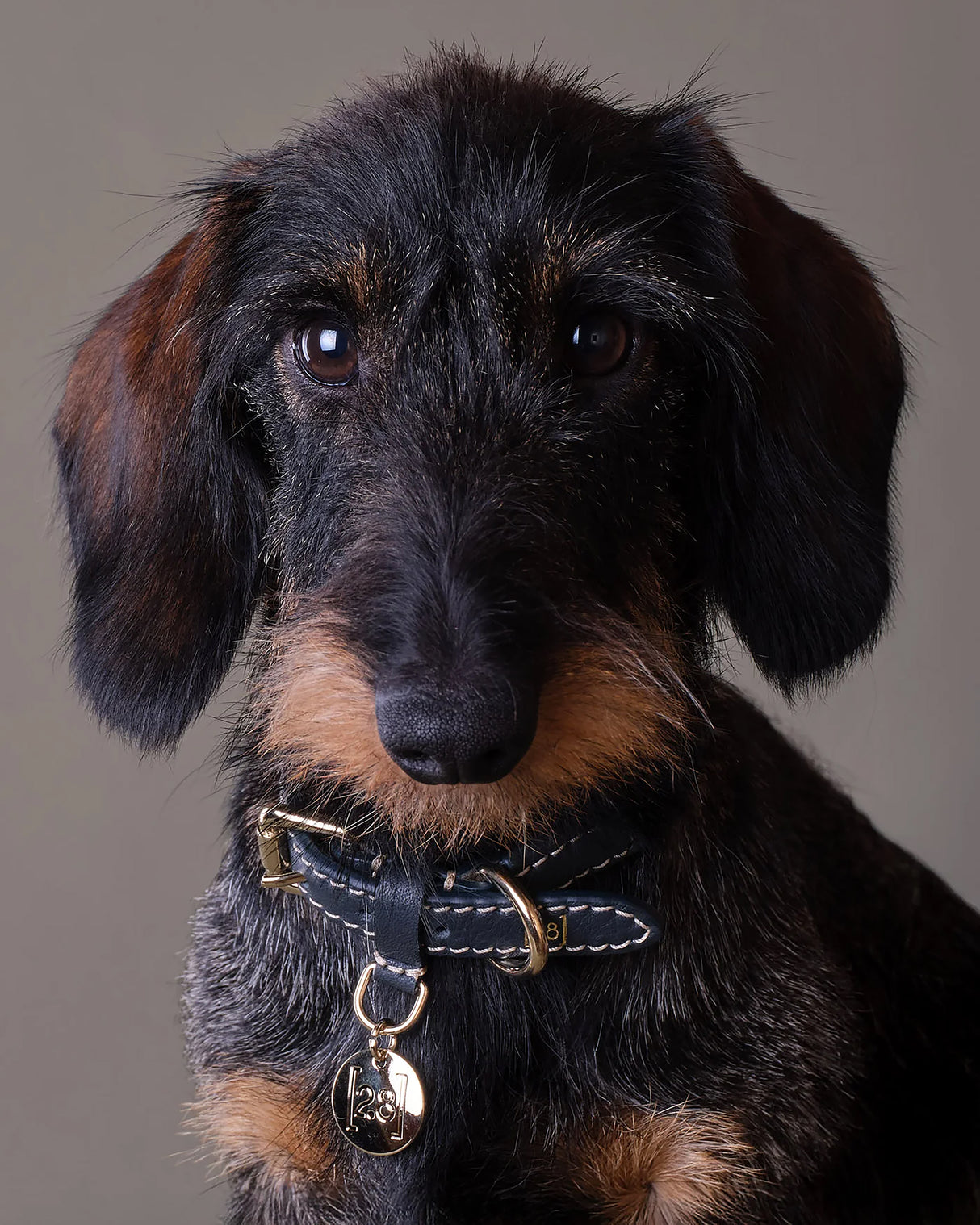 FERDINANDO NAPPA LEATHER COLLAR | קולר עור נאפה לכלב