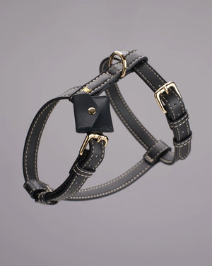 UGO AirTag® LEATHER HOLDER | קייס איירטאג לקולר ולרתמה לכלב