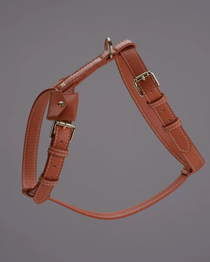 UGO AirTag® LEATHER HOLDER | קייס איירטאג לקולר ולרתמה לכלב