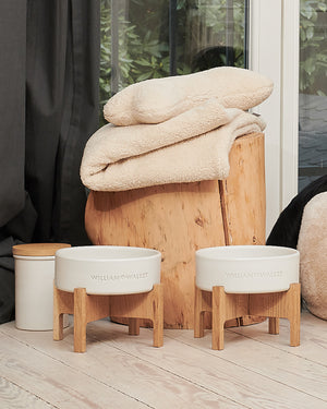 Ceramic Dog Food & Treat Jar | צנצנת לאחסון אוכל וחטיפים לכלב