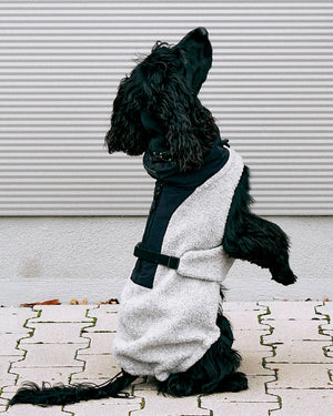 EMILIA DOG COAT | מעיל לכלב