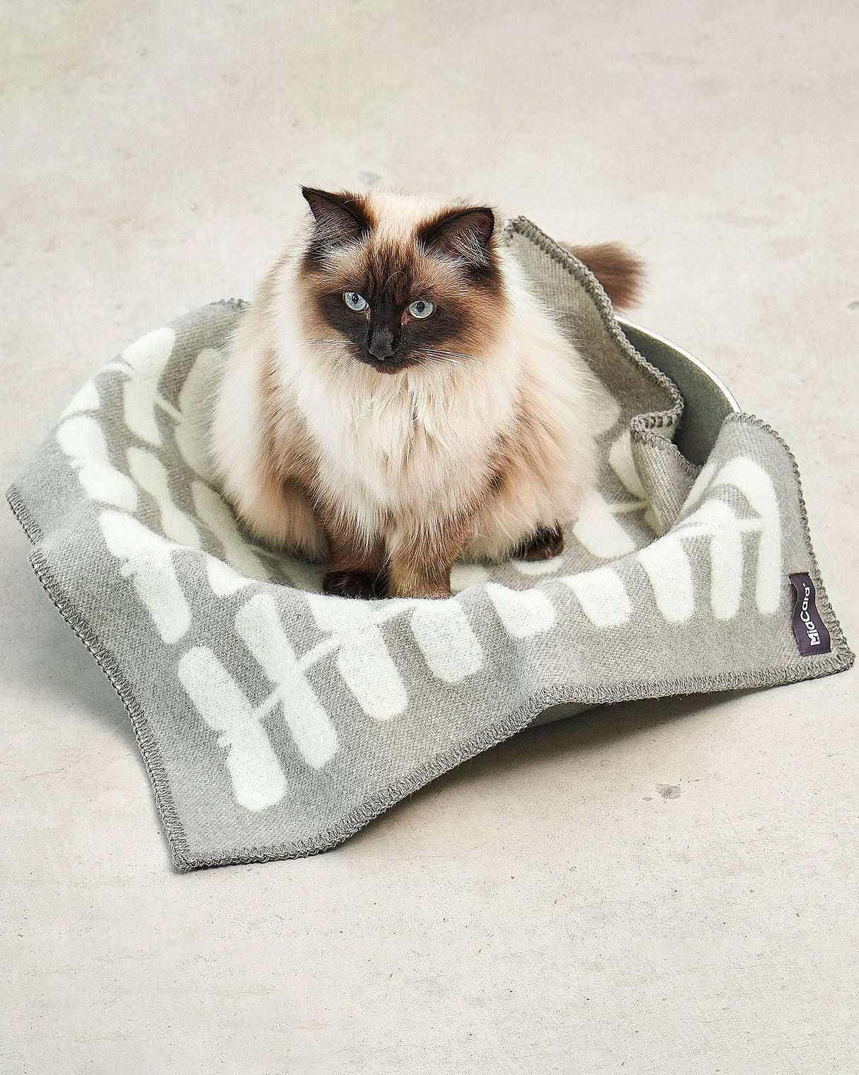 FLORA CAT WOOL BLANKET | שמיכה לחתול