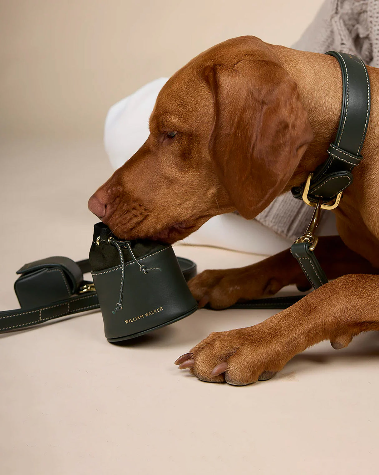 Luxe Suede Leather Dog Collar | קולר עור זמש לכלב