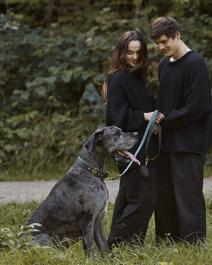 Luxe Suede Leather Dog Leash | רצועת עור ארוכה ומתכווננת לכלב