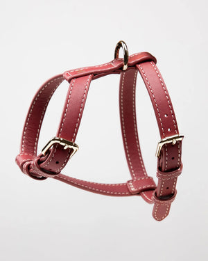 רתמה לכלב מעור נאפה איטלקי | GABRIELE DOG HARNESS