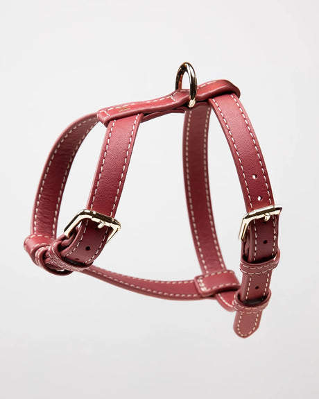 רתמה לכלב מעור נאפה איטלקי | GABRIELE DOG HARNESS